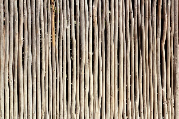 Clôture de tronc en bois blanc bâton mur maya tropical — Photo