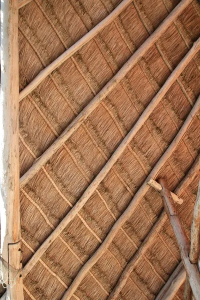 Palapa tropical México detalle techo cabaña madera — Foto de Stock