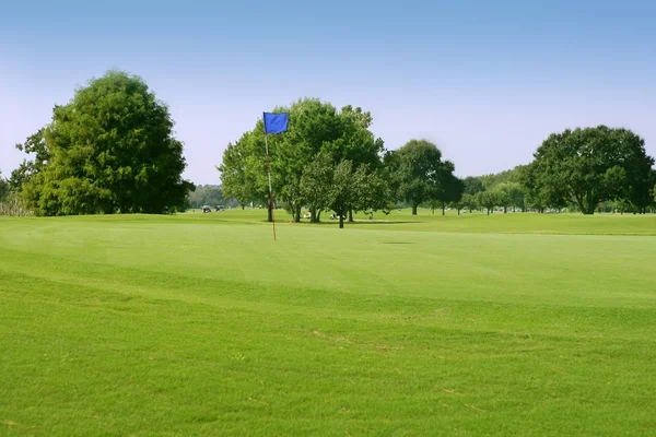 Beautigul golf zelené trávě sportoviště — Stock fotografie