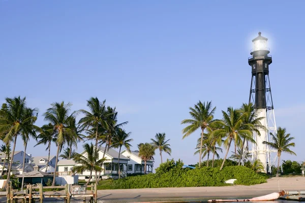Drzewa palmowe latarni pompano beach na Florydzie — Zdjęcie stockowe