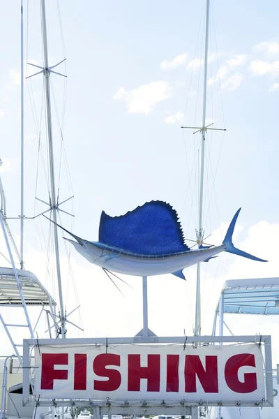 Marisco azul sobre texto cópia de pesca na Flórida — Fotografia de Stock