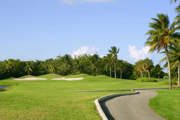 Miami anahtar biscayne golf tropikal alan — Stok fotoğraf