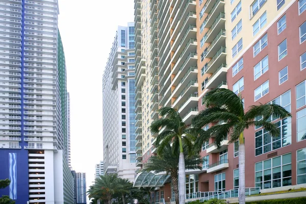 Miami downtown stad met kleurrijke gebouwen — Stockfoto