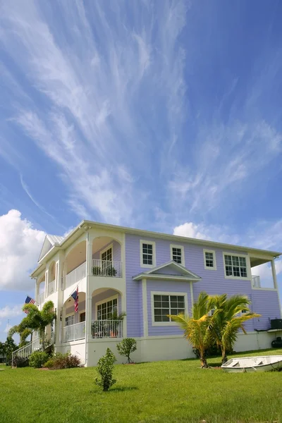 Everglades city na Floridě velký cypřiš — Stock fotografie