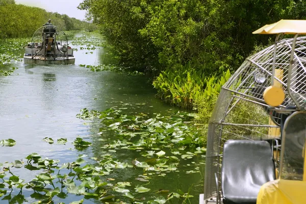 Airboat v everglades na Floridě velký cypřiš — Stock fotografie