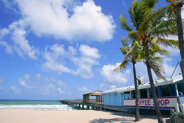 Fort Lauderdale praia café com palmeiras tropicais — Fotografia de Stock