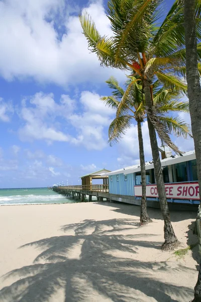Fort lauderdale beach café tropikal palmiye ağaçları ile — Stok fotoğraf