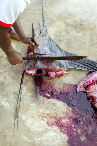Uomo africano tagliare un pesce vela marlin pesce insanguinato — Foto Stock