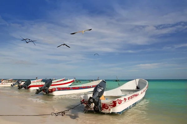 Лодки Mayan Riviera Mexico Puerto Morelos — стоковое фото