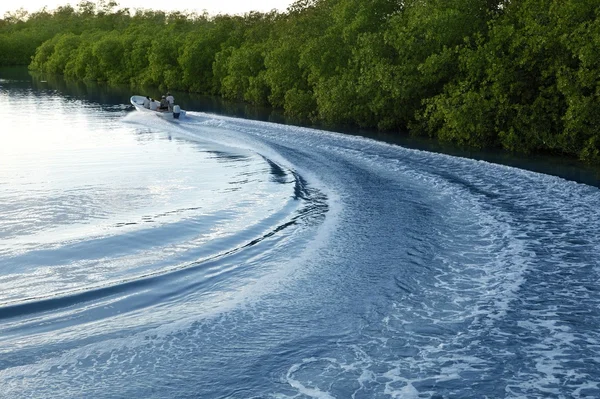 Bateau bateau réveil hélice lavage coucher de soleil lac rivière — Photo
