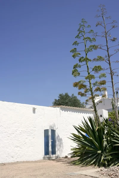 Форментера вблизи белых домов острова Ибица — стоковое фото