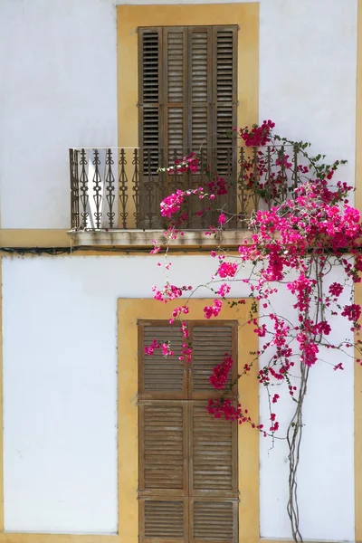Ibiza Casas de arquitectura de isla mediterránea — Foto de Stock