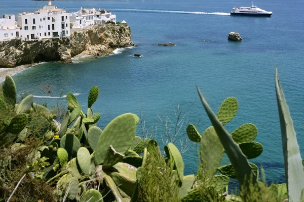 Ibiza szép Földközi-tengeri kilátással — Stock Fotó
