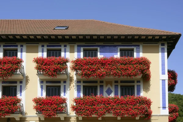 stock image Beautiful house in Navarra with flowers on balcony