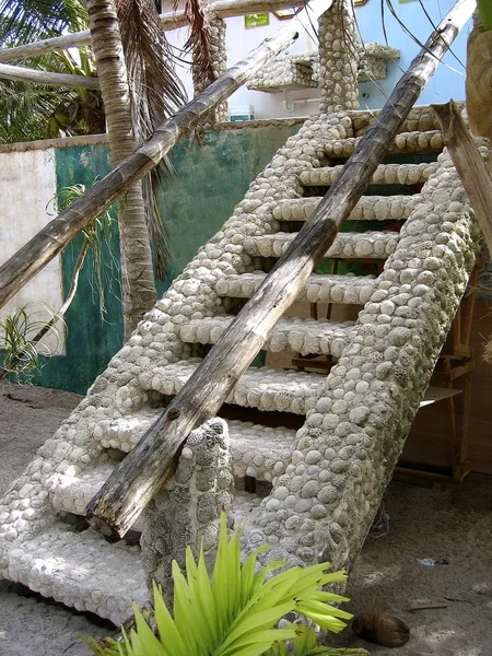 Stairway buit with brain coral in caribbean — Stock Photo, Image