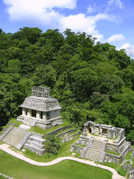 Palenque Majów ruiny Majów chiapas mexico — Zdjęcie stockowe