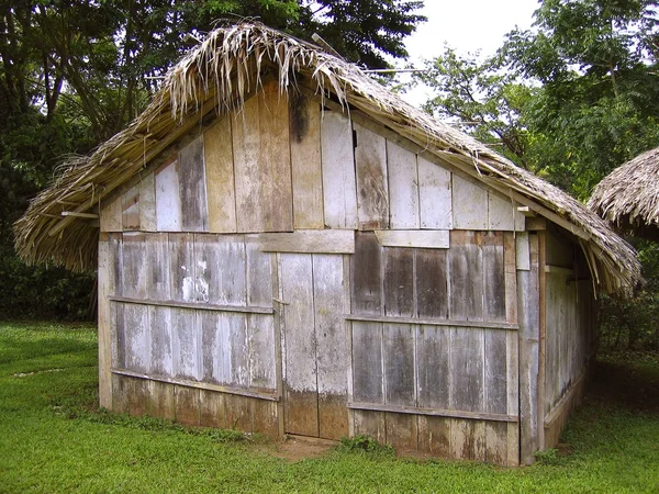 Jungle houten huis in chiapas mexico — Stockfoto
