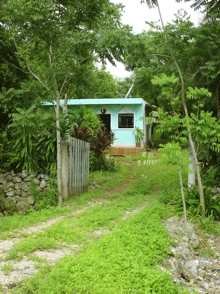 Зеленый домик в джунглях майя в Мексике — стоковое фото