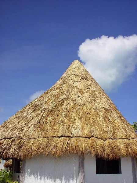 Palapa hut strand zon dak Caribisch gebied — Stockfoto