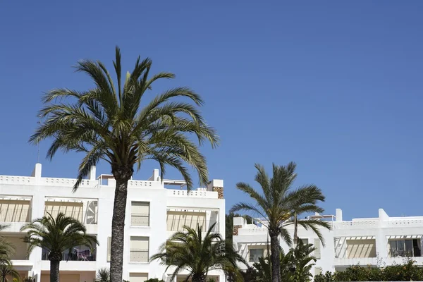 Mediterrane weiße Häuser Palmen blauer Himmel — Stockfoto