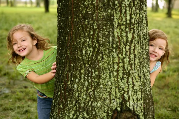 Dvě dvojčata holčičky hrají v kmen stromu Stock Obrázky