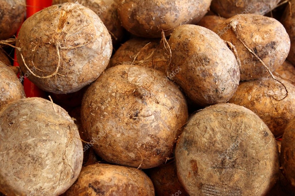 Jicama yam bean mexican food vegetable — Stock Photo © lunamarina 5502765