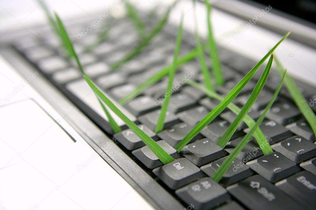 Grass growing from computer keyboard, metaphor