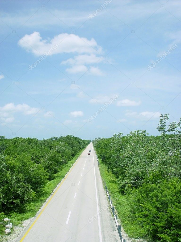 Jungle road aerial view central america mexico Stock Photo by ©lunamarina  5509931