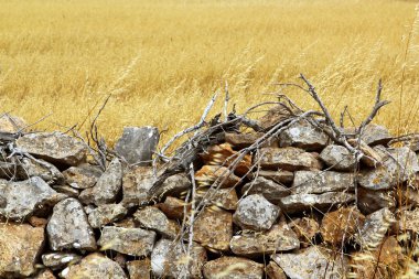 Yığma taş duvar golden yaz alanı