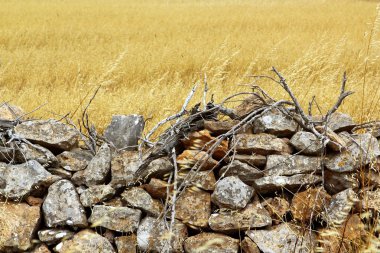 Masonry stone wall golden summer field clipart