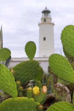 La Mola lighthouse Formentera nopal chumbera clipart