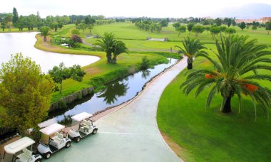 Golf course lakes palm trees aerial view clipart