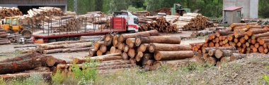Log timber trunks wooden industry stock clipart