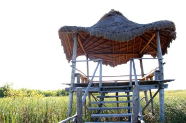 Hut palapa in mangrove reed wetlands clipart
