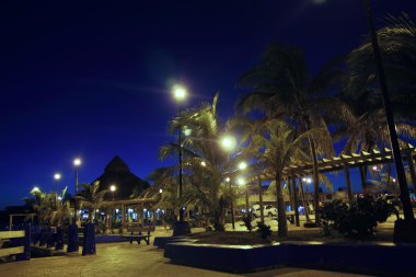 Puerto morelos gece palm ağaçlar Maya Rivierası