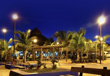 Puerto morelos gece palm ağaçlar Maya Rivierası