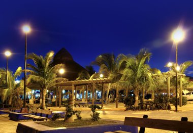 Puerto Morelos night palm trees Mayan riviera clipart