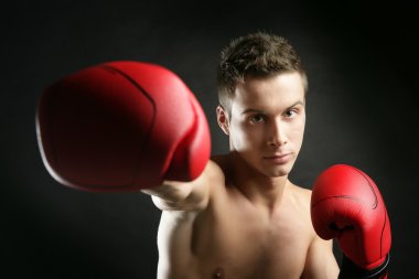 Young boxer man isolated on studio clipart