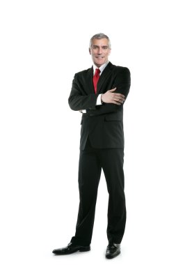 Full length suit tie businessman posing stand clipart