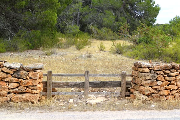 Каменная стена деревянная ограда сосновый лес — стоковое фото