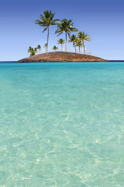 Παράδεισος παλάμη δέντρο νησί τροπική παραλία τυρκουάζ — Φωτογραφία Αρχείου