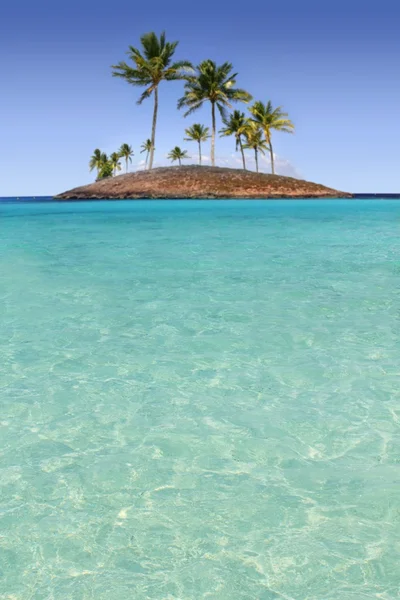 Paraíso palmera isla tropical playa turquesa —  Fotos de Stock
