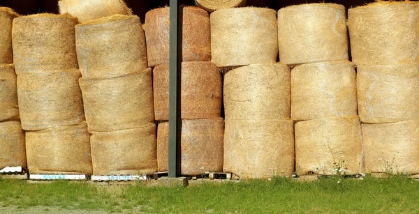 Fardos de trigo redondo empilhados fileiras de ações douradas — Fotografia de Stock