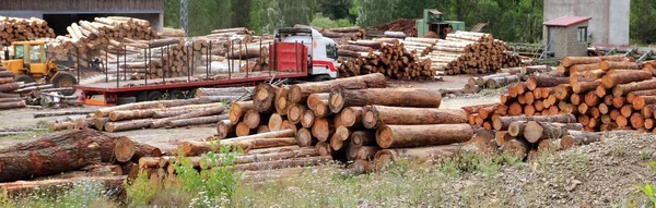 Tronco troncos de madeira estoque da indústria de madeira — Fotografia de Stock