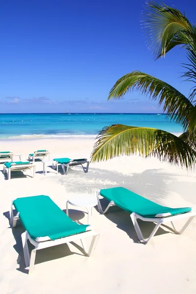 Karibik Strand türkis Meer grüne Hängematten — Stockfoto