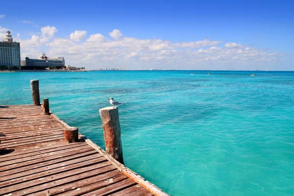 Cancun wood pier tropical Caribbean sea — Stock Photo, Image