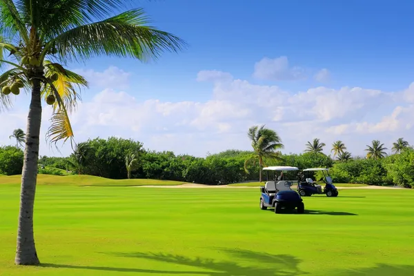 在墨西哥高尔夫球场热带棕榈树 — 图库照片