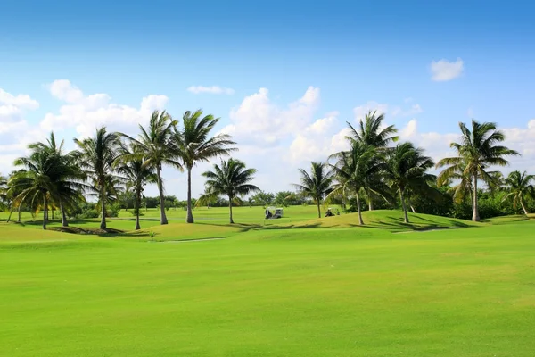Golfbaan tropische palm bomen mexico — Stockfoto