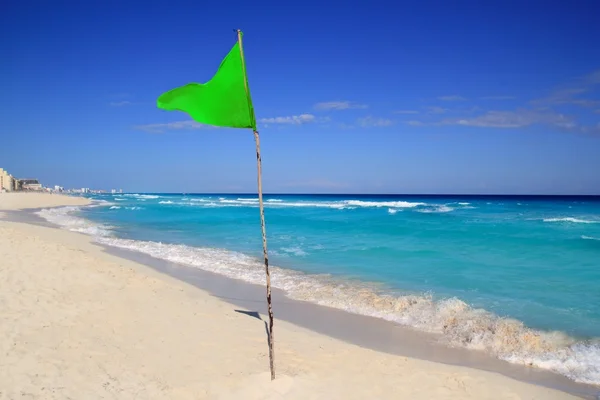 Зеленый флаг пляжа хорошая погода на пляже — стоковое фото