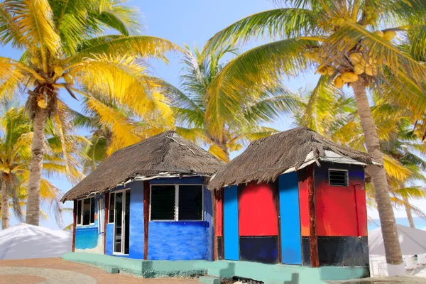 Kunyhó palapa színes trópusi kabin pálmafák — Stock Fotó